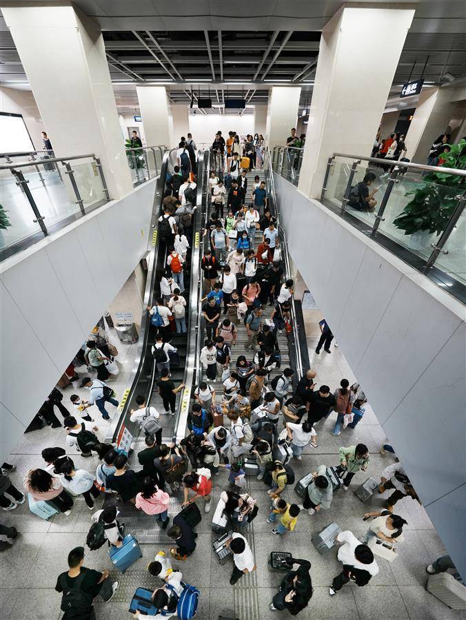 八人排九牌下载